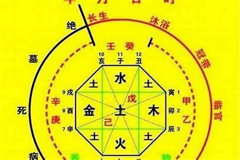 八字喜五行|八字喜用神在线查询器,五行喜什么查询免费